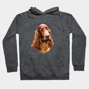 Irish Setter - Glamorous Dog! Hoodie